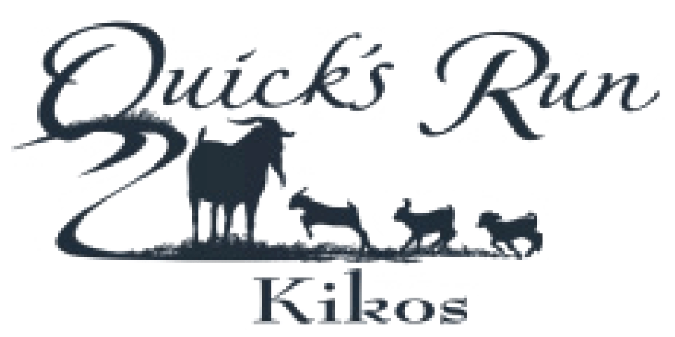 Quick's Run Kikos